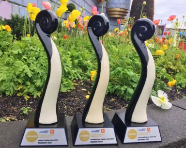 Awards 2