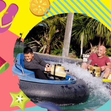 Summer Of Fun Bumper Boats