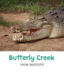 Butterfly Creek Attraction