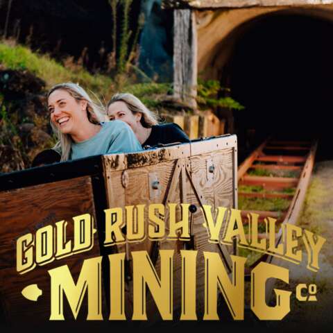Gold Rush Mining Valley Company