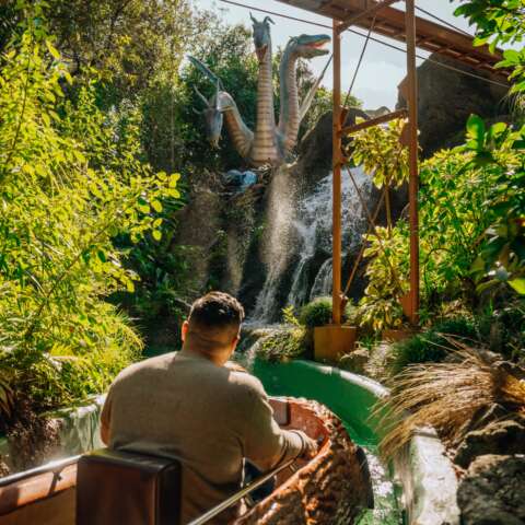 Log Flume with Dragons