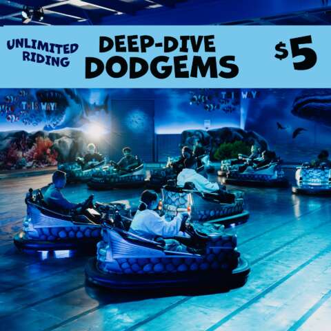 Deep Dive Dodgems