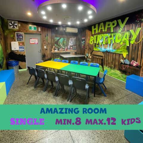 Amazing Birthday Room Kidz Kingdom