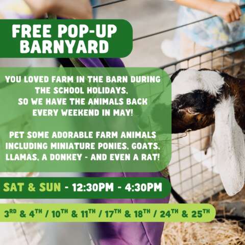Farm in The Barn