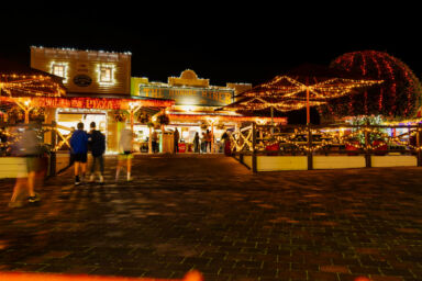 P1402231 Enhanced Nr