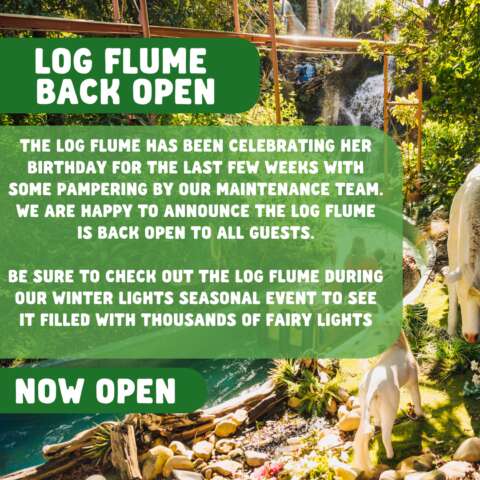 Log Flume