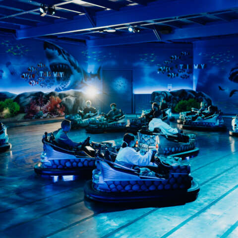 Deep Dive Dodgems