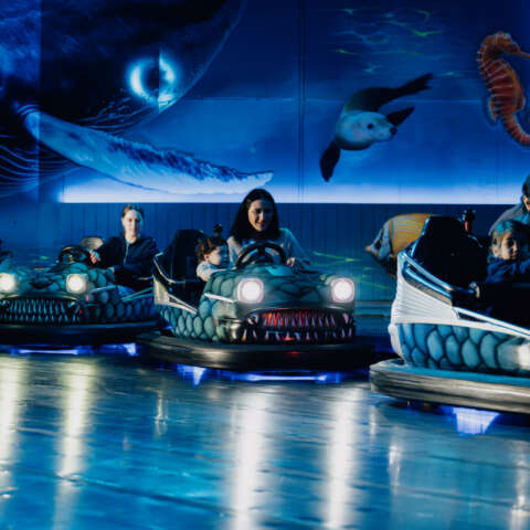 Deep Dive Dodgems