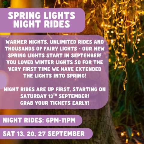 Spring Lights Night Rides