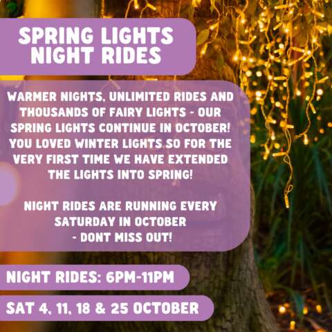 Spring Lights Night Rides