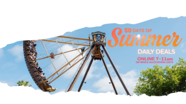 50 Days Of Summer Web Banner