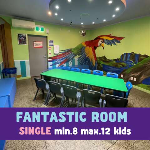 Fantastic Birthday Room Kidz Kingdom