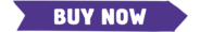 Purple Buy Now Button