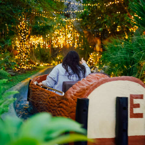 Enchanted Forest Log Flume