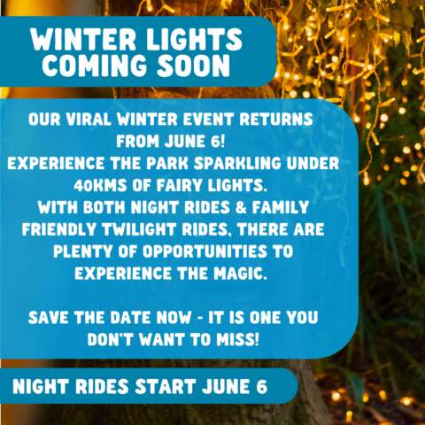 Winter Lights