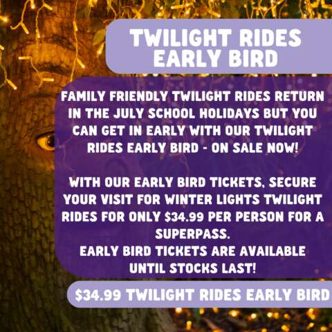 Winter Lights Twilight Rides