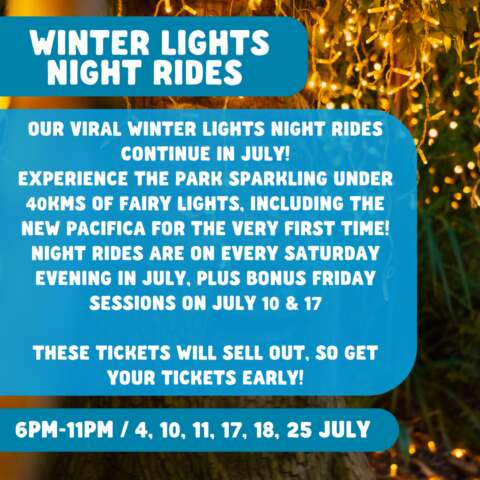 Winter Lights Night Rides